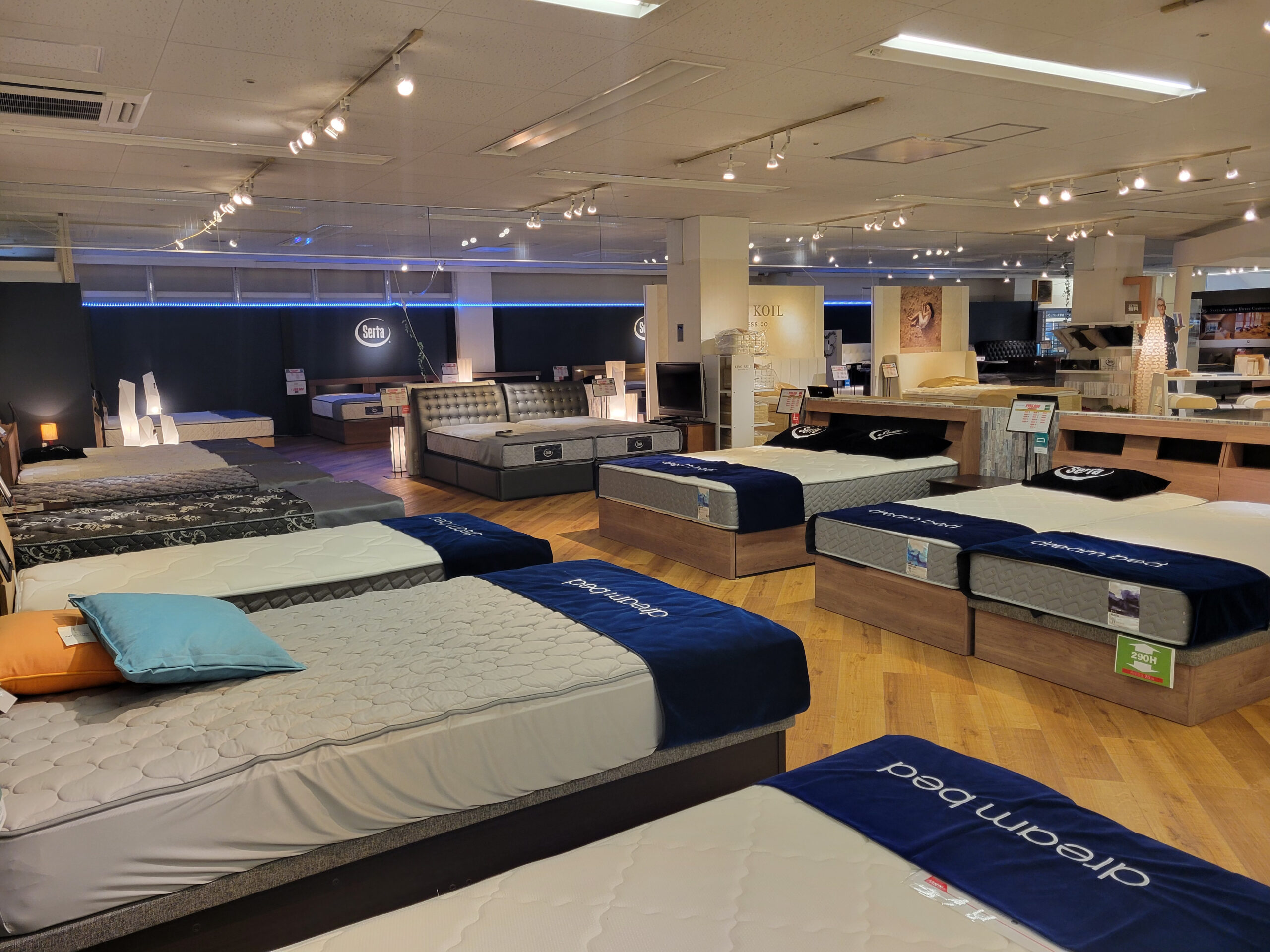 【かねたや 柏店】眠りの質が変わる。エリア最大級のベッドショールームで「理想の寝心地」を体感