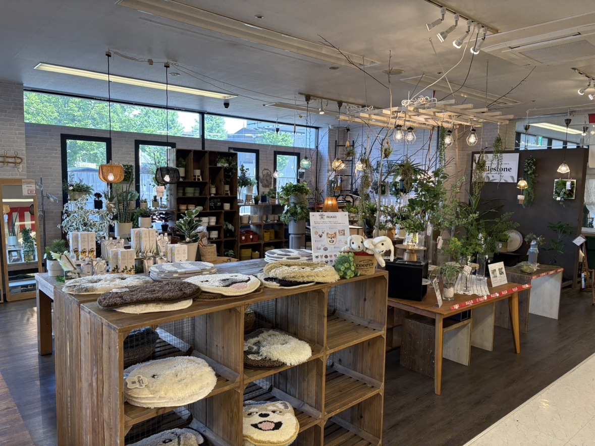 【かねたや 柏店】家具から雑貨まで、トータルで彩る「心地よい暮らし」