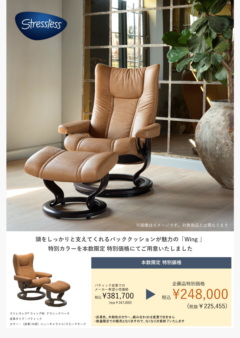 エコーネス