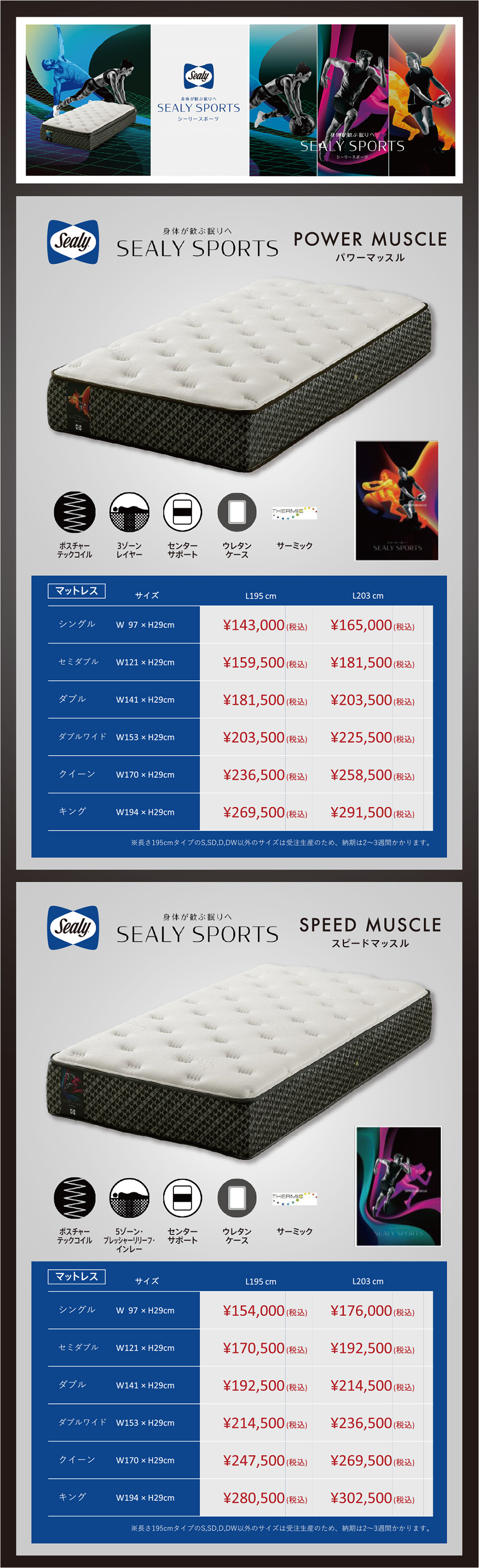 シーリースポーツ