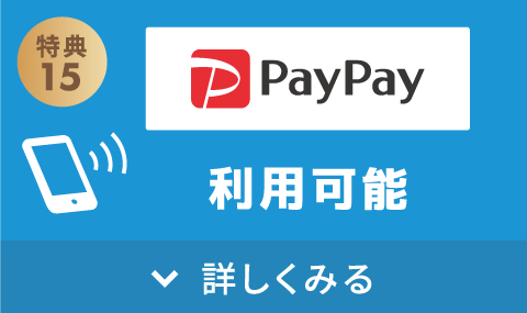 PayPay利用可能