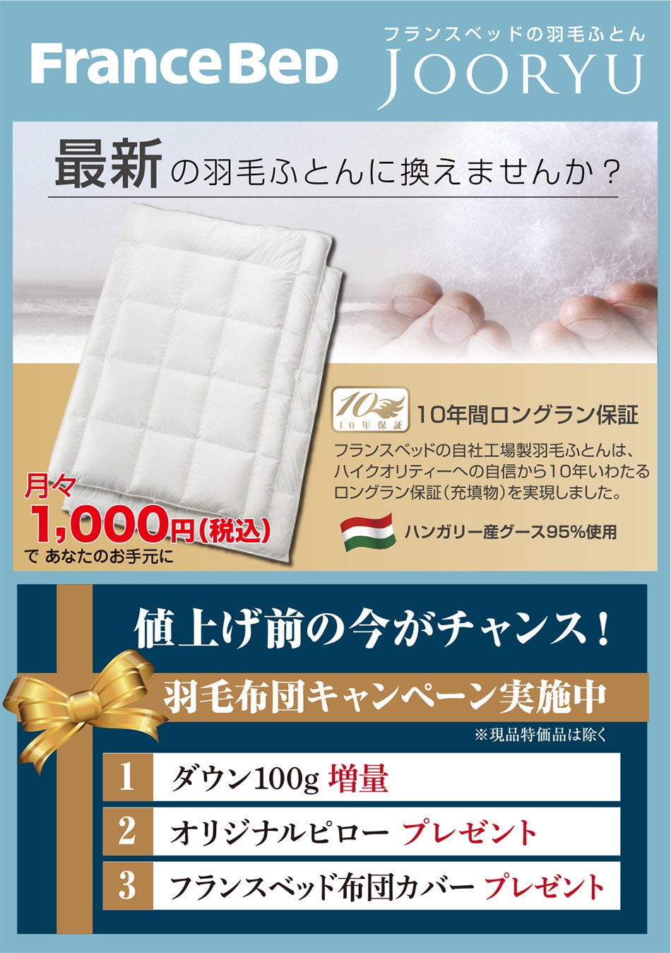 フランスベッドの羽毛ふとん