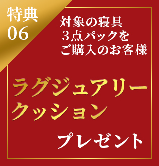 ラグジュアリークッションプレゼント