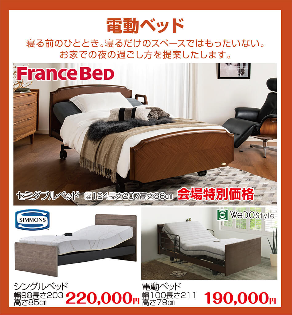 FranceBed 電動ベッド