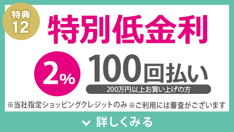 特別低金利 100回払いでも2%