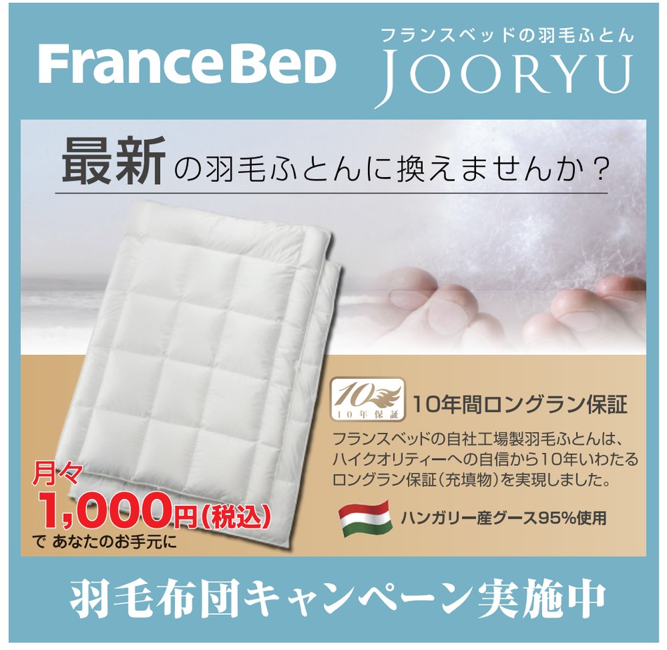 フランスベッド羽毛ふとん