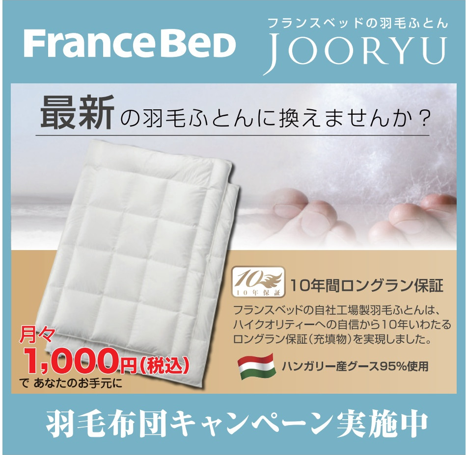 フランスベッド羽毛ふとん