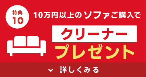 クリーナープレゼント