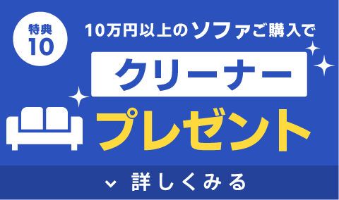 クリーナープレゼント