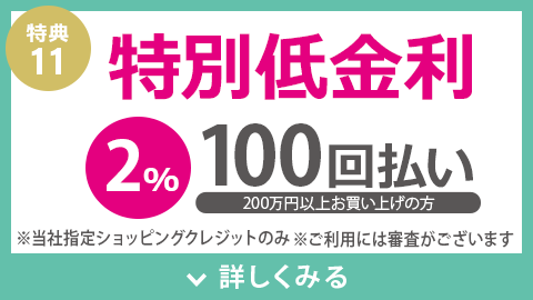 特別低金利 100回払いでも2%
