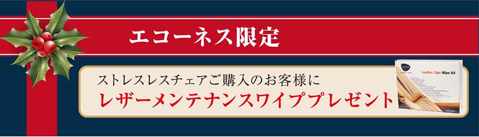 エコーネス限定