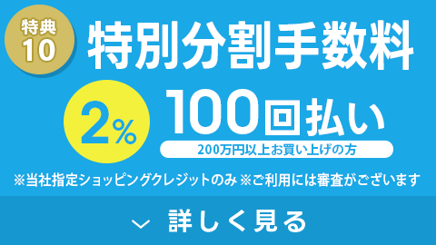 特別分割手数料 100回払い