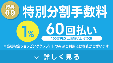 特別分割手数料 60回払い